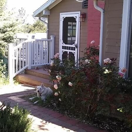 Blue Bird Cottage - Pet Friendly จูเลียน ภายนอก รูปภาพ