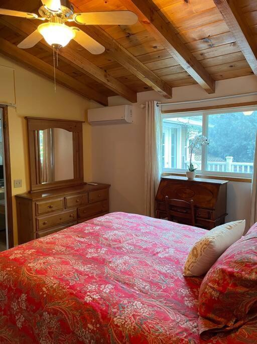 Blue Bird Cottage - Pet Friendly จูเลียน ภายนอก รูปภาพ