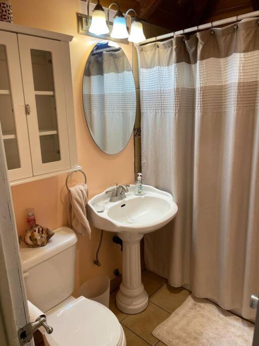 Blue Bird Cottage - Pet Friendly จูเลียน ภายนอก รูปภาพ