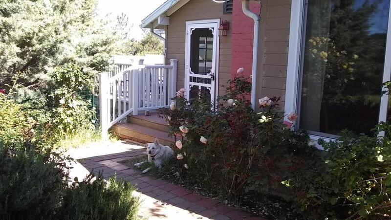 Blue Bird Cottage - Pet Friendly จูเลียน ภายนอก รูปภาพ